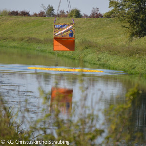Die Enten fallen ins Wasser