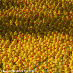 startbereite Badewannenenten