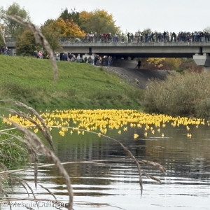 Verlauf Entenrennen